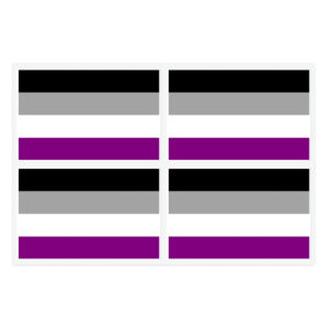 Asexual Pride Flag Sticker Pack
